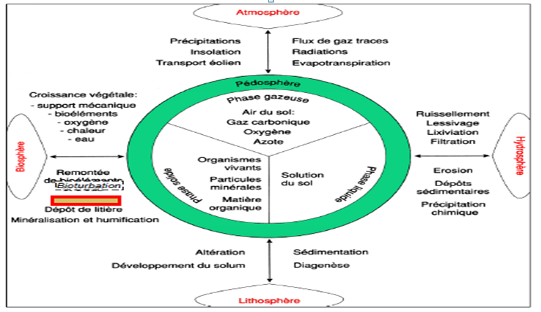 Interactions de la Biocénose avec sa Biosphère
