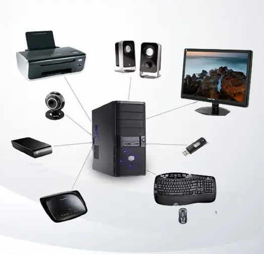 Common Input/Output Devices